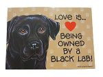 love-is-black-lab4